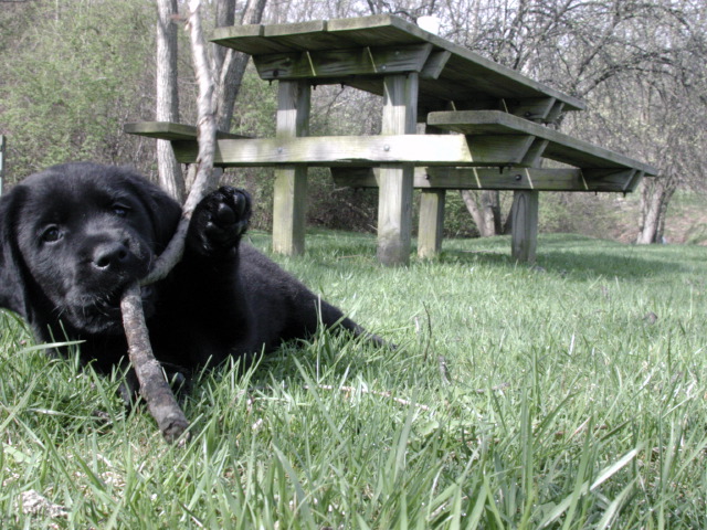 His first stick